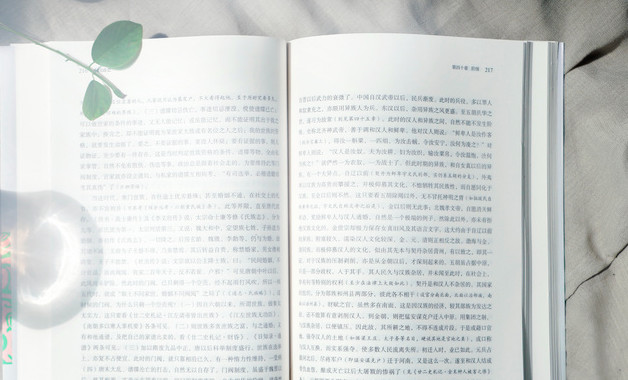 公司軟件學習社會實踐報告