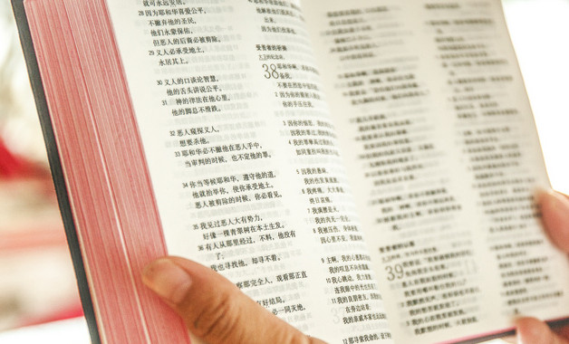 本科畢業設計開題報告怎么寫