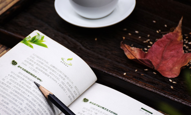 金融會計專業收銀員暑期實習報告總結