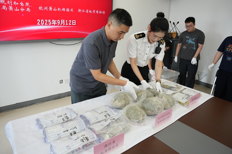 圖為：工作人員正在清點化石數量