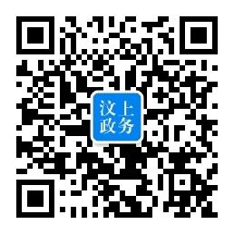 汶上政務(wù)